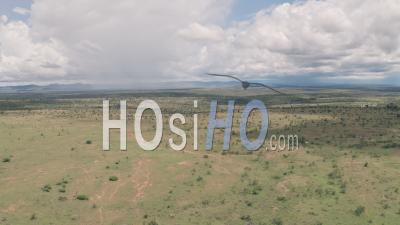 African Savanna And Plains Landscape In Laikipia, Kenya. Aerial Drone View