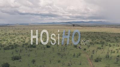 Wildlife Vacation, Driving Through A Game Reserve In Laikipia, Kenya. Aerial Drone View Of African Savanna Landscape