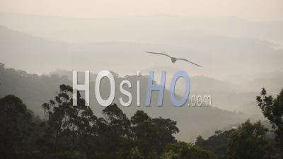 Paysage Panoramique Vue Sur Les Montagnes Et Les Collines Sur Un Matin Brumeux, à Munnar, Inde