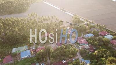 Aerial Evening Malays Village With Coconut - Video Drone Footage