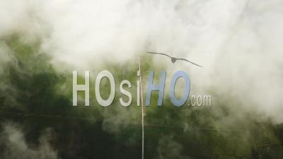 Aerial View Beautiful Landscape Path In Green Paddy Field Over The Cloud - Video Drone Footage