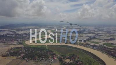 Aerial View Curve Sungai Muda With Flooded Paddy Field. - Video Drone Footage