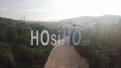 Déforestation Du Chemin Avec Tour électrique - Vidéo Prise Par Drone