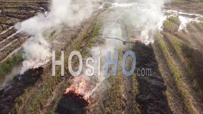 Un Fermier Brûle Les Champs Récoltés -Vidéo Par Drone