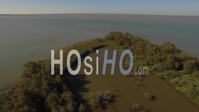 Pond Of Fangassier In Camargue, France, Video Drone Footage