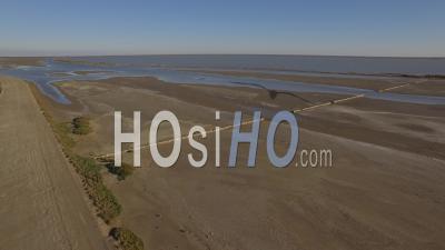 Pond Lagoon Of Camargue, France – Video Drone Footage