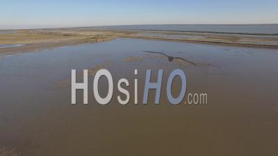 Pond Of Fangassier In Camargue, France, Video Drone Footage
