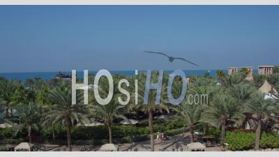 Burj Al Arab And Beach Of Al Qasr Hotel - Video Drone Footage