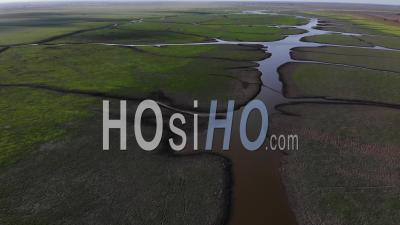 Landscape Of The Gorongosa National Park In Mozambique - Video Drone Footage