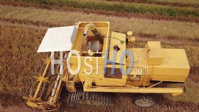 Harvester Machine Reap The Paddy - Video Drone Footage