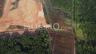 Aerial View Site Development And Oil Palm Clearing - Video Drone Footage
