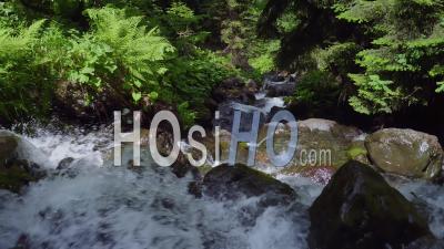 Mountain Stream In The Mountains - Video Drone Footage