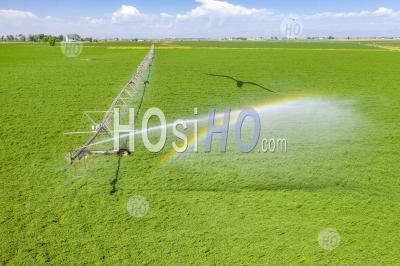 Center Pivot Irrigation In Eastern Colorado - Aerial Photography