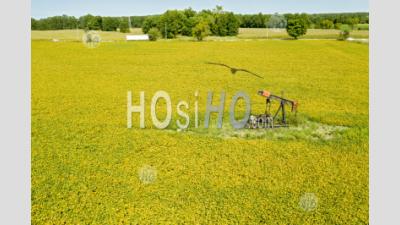 Old Oil Well In Soybean Field - Aerial Photography