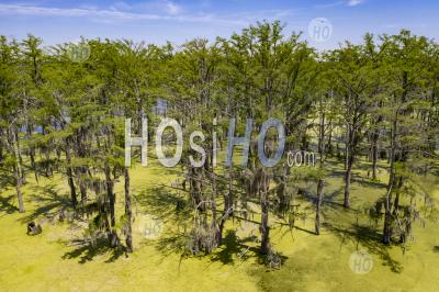 Mississippi Wetlands - Aerial Photography