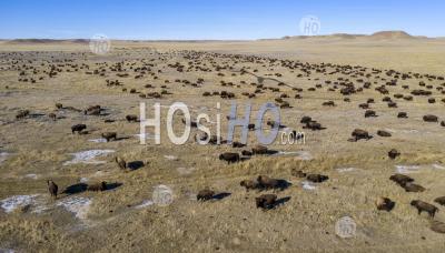 Bison Ranch - Aerial Photography