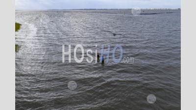 Fishing In The Gulf Of Mexico - Aerial Photography