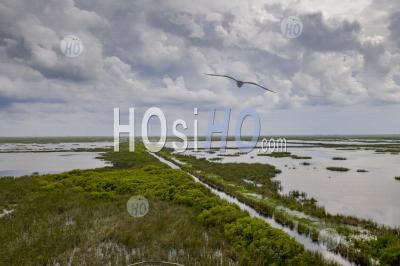 Zone De Traitement Des Eaux Pluviales Dans Le Sud De La Floride - Photographie Aérienne