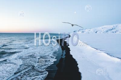 Overhead Aerial Shot Of Beautiful Black Beach In Iceland In Winter With Snow Hq - Aerial Photography