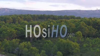Forêt De Pins Et Vignobles En Provence Avec Les Montagnes De La Sainte-Baume En Arrière-Plan - Vidéo Par Drone