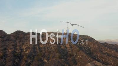 Wide Shot Of Hollywood Sign Letters At Sunset, Los Angeles, California 4k - Video Drone Footage