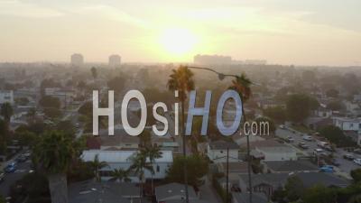 Vol Au-Dessus De Deux Palmiers à La Lumière Du Soleil, Coucher De Soleil à Venise, Californie, 4k - Vidéo Aérienne Par Drone