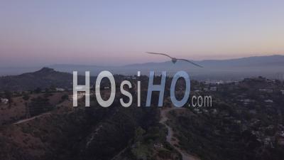 Sur Les Collines D'hollywood Au Lever Du Soleil Avec Vue Sur Les Collines Et La Vallée Et Les Lignes électriques à Los Angeles View 4k - Vidéo Par Drone