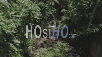 Forêt Tropicale Et Cascade En Martinique, Vidéo Drone