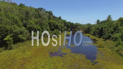 Rivière Et Plage Rio Verde - Vidéo Drone, Trancoso, Brésil