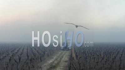 Aerial View, Anti-Frost Wind Machine In Bordeaux Vineyard During Sub-Zero Temperatures - Video Drone Footage