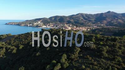 Vineyards In Banyuls, Viewed From Drone