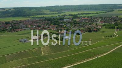Champagne Vineyard, Charly-Sur-Marne- Video Drone Footage