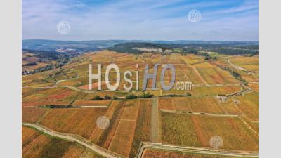 Aerial View If The Vineyard Of Pommard In Autumn In Burgundy Seen By Drone