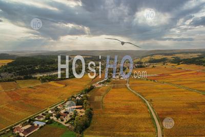 Aerial View If The Savigny-Les-Beaune Vineyard In Autumn In Burgundy Seen By Drone