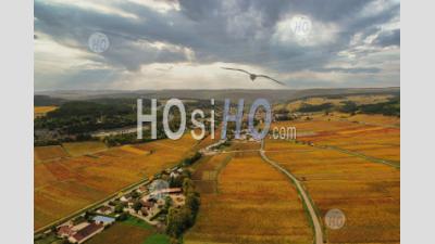 Aerial View If The Savigny-Les-Beaune Vineyard In Autumn In Burgundy Seen By Drone
