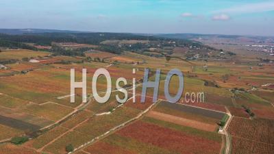 Aerial View The Vineyard Of Beaune In Burgundy In Autumn Filmed By Drone
