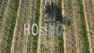 Aerial View Of The Ploughe In The Hautes Cotes De Nuits Vineyard In Burgundy Filmed By Drone, Bevy, France