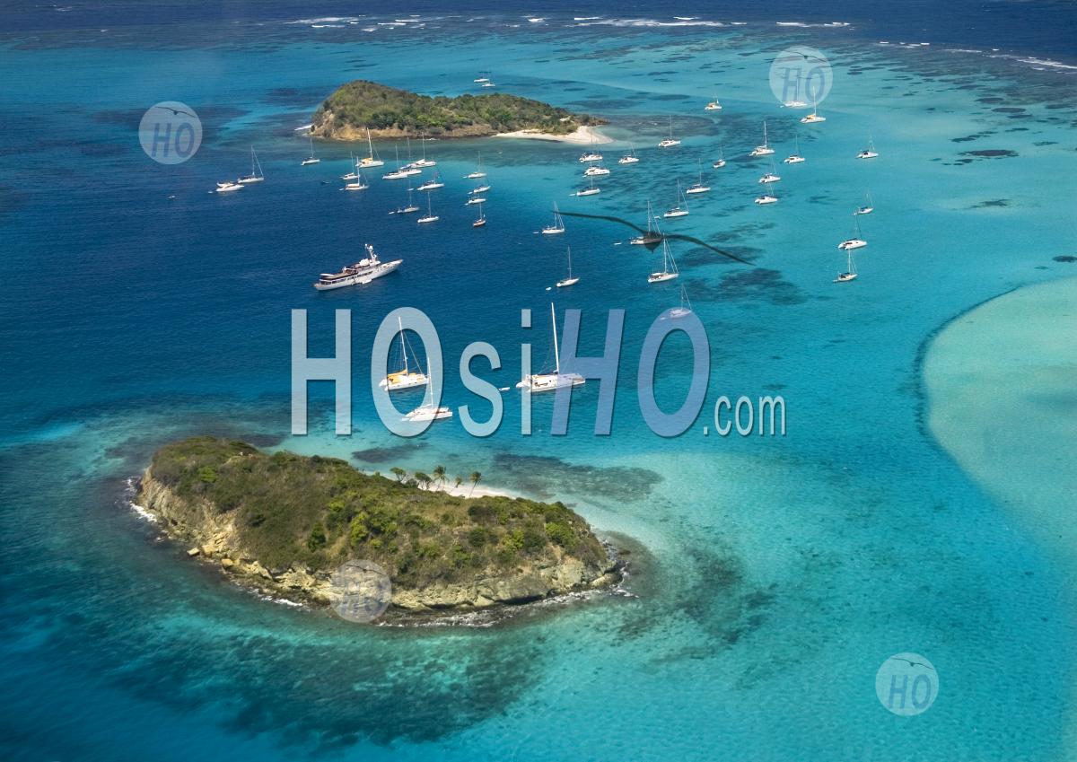 Tobago Cays Dans Les Grenadines Caraïbes