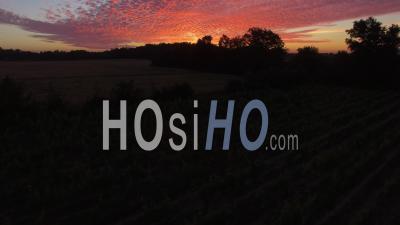 Sunrise In Anjou - Video Drone Footage