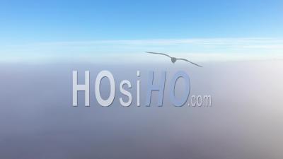 Misty View Of Drone Raising Above The Clouds. Aerial Shot
