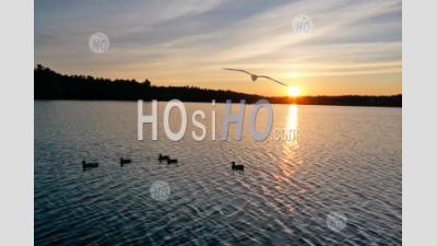 Lac De La Nouvelle-Angleterre, Oiseaux Au Coucher Du Soleil - Photographie Aérienne