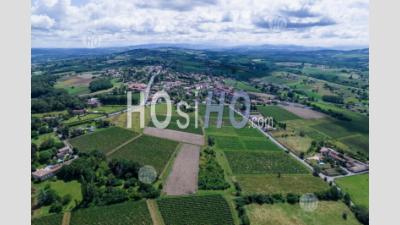 Vineyards In Beaujolais Region - Aerial Photography