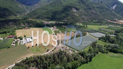 Vergers Près Du Village De Le Saix, Hautes-Alpes, France, Vidéo Par Drone