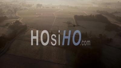 Vineyards Near Bordeaux In Winter, Video Drone Footage
