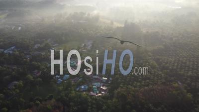 Morning Foggy Village - Video Drone Footage
