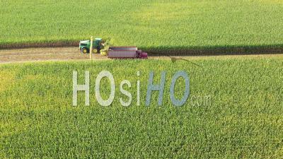 Corn Harvest - Video Drone Footage