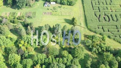 Suicide Prevention Corn Maze - Video Drone Footage