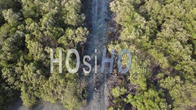 Vue Aérienne De La Déforestation Dans La Forêt De Mangroves - Vidéo Par Drone
