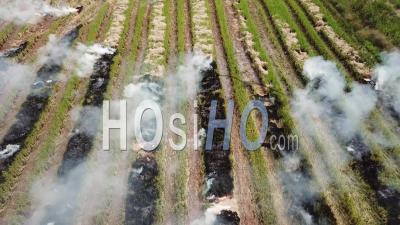 Aerial View Farmer Burn The Open Field - Video Drone Footage