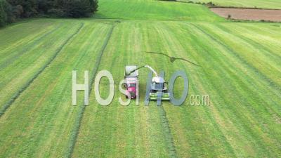 Alfalfa Harvest - Video Drone Footage